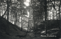 12131 Gezicht in het bos op de Grebbeberg te Grebbe bij Rhenen.